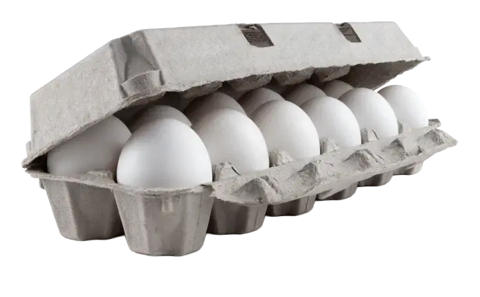 Carton of eggs with open lid displayed.
